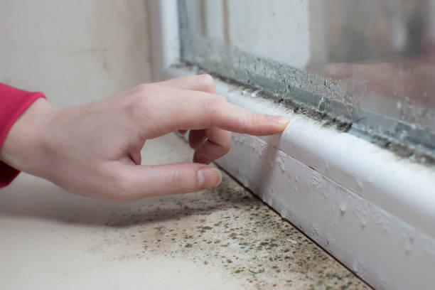 Best Mold-Related Health Consultation  in Oolitic, IN