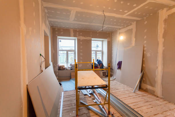 Best Basement Mold Removal  in Oolitic, IN
